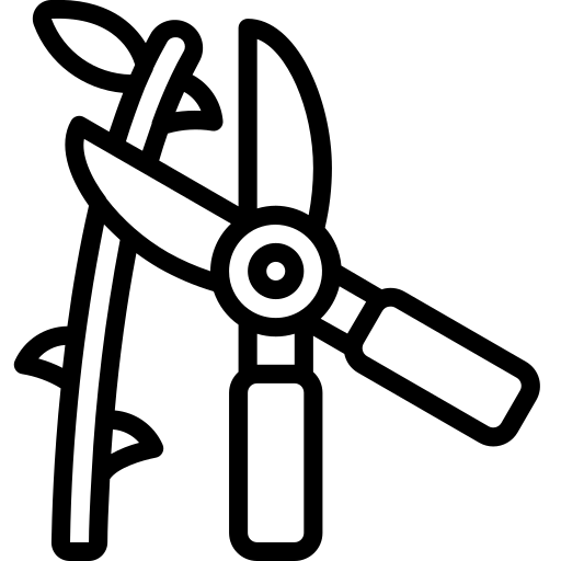 Renovierungsarbeiten 